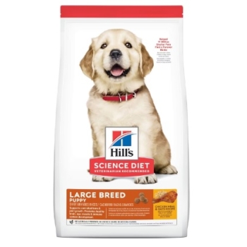 PUPPY LARGE BREED