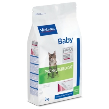 BABY PRENEUTERED CAT