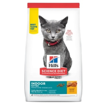 KITTEN INDOOR