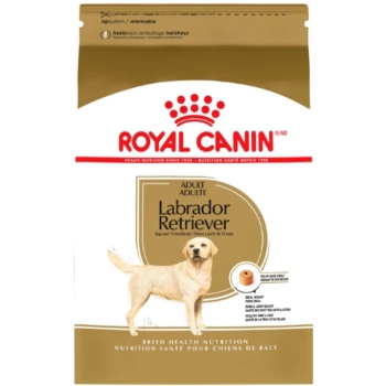 bhn-labrador-retriever-adult-1363kg