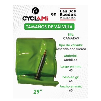 CAMARA TPU VERDE 29