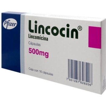LINCOCIN (LINCOMICINA) 500MG 16 CAPS