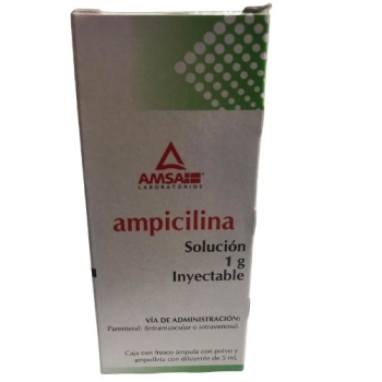 AMPICILINA (Amsa) Sol. Iny. c/1 FCO. AMP. 1 G/5 ML.
