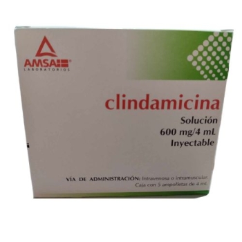CLINDAMICINA 600MG/4ML  5 AMPOLLETAS