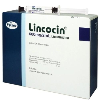 LINCOCIN (LINCOMICINA) 600MG/2ML SOL. INY